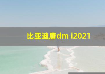 比亚迪唐dm i2021